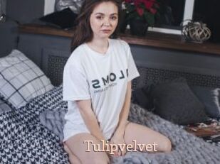 Tulipvelvet