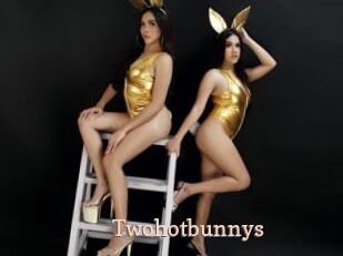 Twohotbunnys