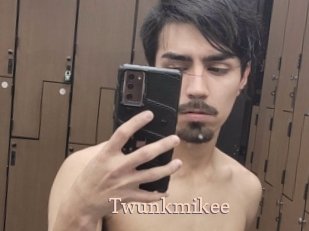 Twunkmikee