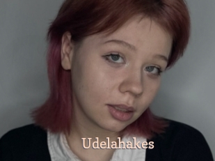 Udelahakes