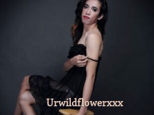 Urwildflowerxxx