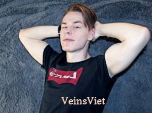 VeinsViet