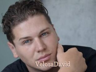VelosaDavid