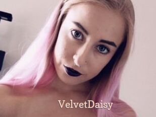 VelvetDaisy