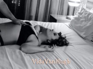 VidaVanHogh