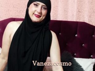 Vanezacosmo