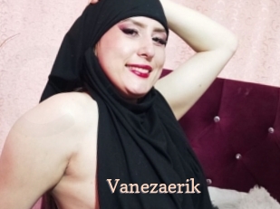 Vanezaerik