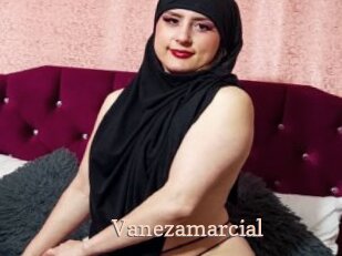 Vanezamarcial