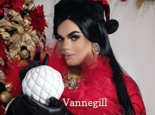 vannegill Chaude Vision
