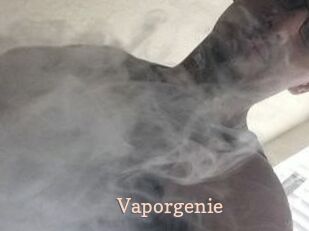 Vapor_genie