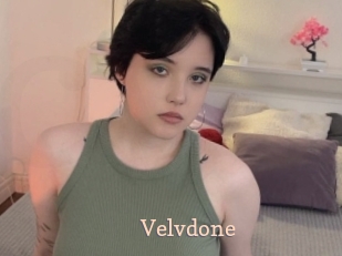 Velvdone