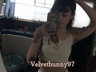 Velvetbunny97