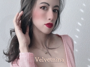 Velvetnina