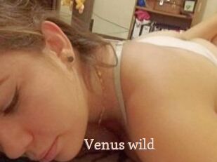 Venus_wild
