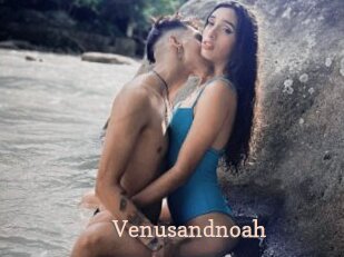 Venusandnoah