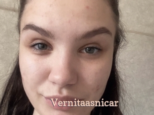Vernitaasnicar