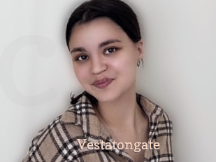 Vestatongate