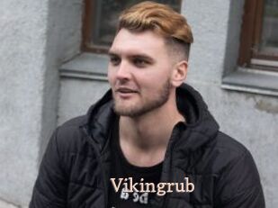 Vikingrub