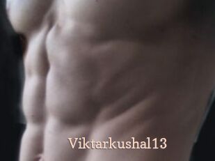 Viktarkushal13