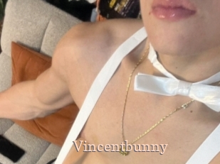 Vincentbunny