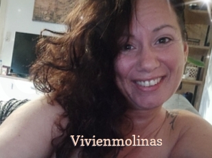 Vivienmolinas