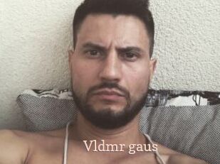 Vldmr_gaus