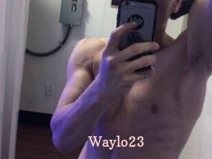 Waylo23