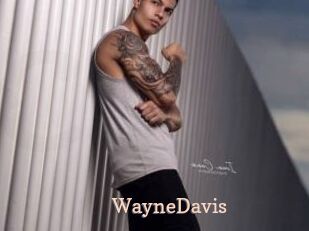 WayneDavis