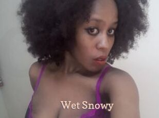 Wet_Snowy