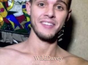 WildDavey