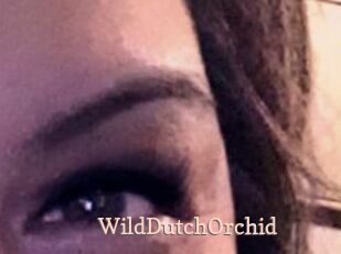 WildDutchOrchid