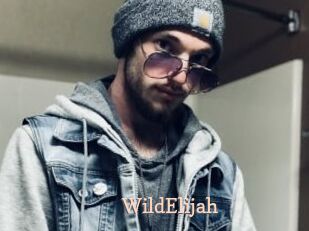 WildElijah