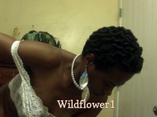 Wildflower1
