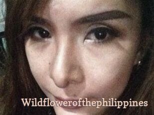Wildflowerofthephilippines