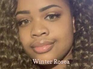 Winter_Rosea