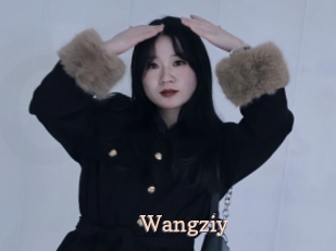 Wangziy