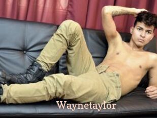 Waynetaylor