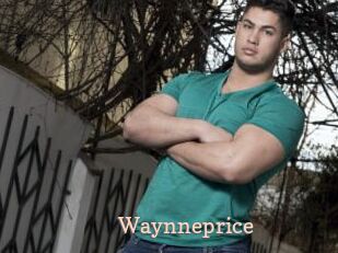 Waynneprice