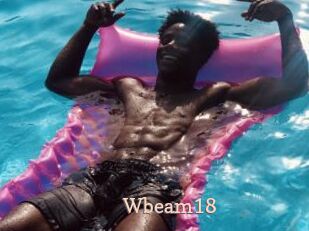 Wbeam18