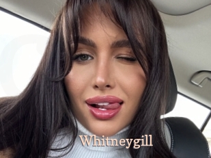 Whitneygill