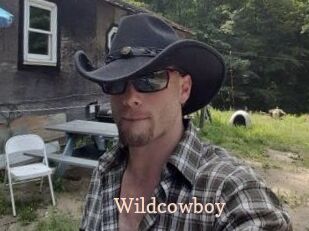 Wildcowboy