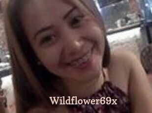 Wildflower69x