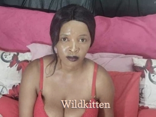 wildkitten Chaude Vision