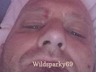 Wildsparky69