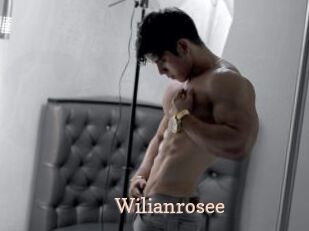 Wilianrosee