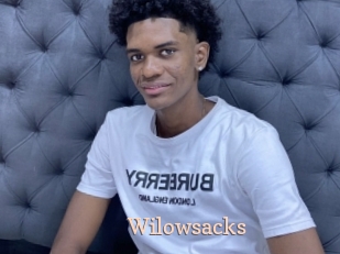 Wilowsacks