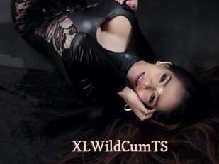 XLWildCumTS