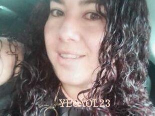 YECAOL23