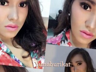Yunaburikat