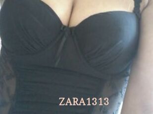 ZARA1313